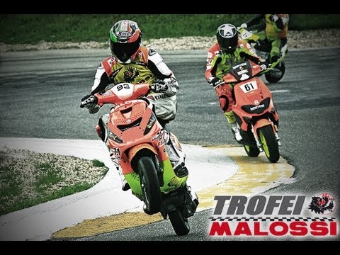 Zip 210cc 4T Malossi zip 検索動画26 Zip 210cc 4T Malossi zip 検索動画 26