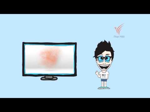 Infographic TV Digital : ทีวีดิจิตอลมีทั้งหมดกี่ช่อง ?