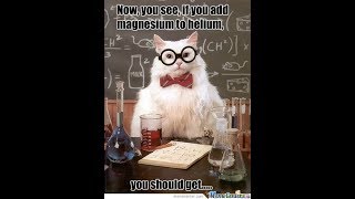 CUTE AND FUNNY CATS COMPLATION part#4