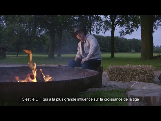 Watch DIF et temperatures diurnes et nocturnus optimales - EP05 S2 by CANNA on YouTube.