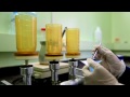 Video The Microbial Quality of Drinking Water Storage Tanks in the Primary Government Schools1111
