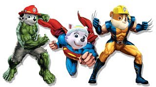 Superheroes Paw Patrol Finger Family Song Finger Family Song Collection For Children
