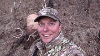 Red Rock Elk - Long Range Late Rifle Elk Hunting in Arizona