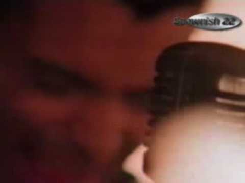 Whipped Video