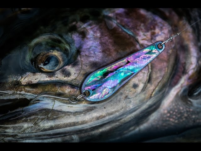 Видео о рыбалке №1320