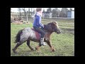 shetty