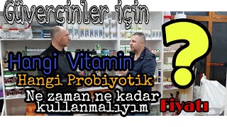 Güverci̇nler İçi̇n Vi̇tami̇n Probi̇yoti̇k Ve Dezenfektanlar İle İlgi̇li̇ Genelbi̇lgi̇ler