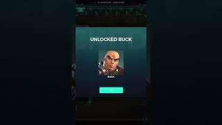 New Bug Paladins