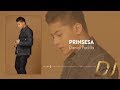 Prinsesa - Daniel Padilla (Lyrics) | DJ Greatest Hits