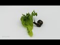 Snail ASMR (turn volume up)