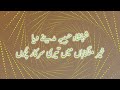 Shehanshaha Habiba Madine Diya | Beautiful Punjabi Naat with Lyrics