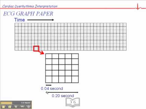 graph paper show me graph paper