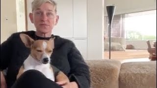 Ellen DeGeneres and Her Pets