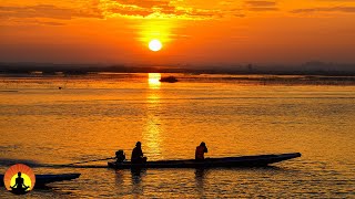 🔴 Music for Sleeping 24/7, Relaxing Music, Insomnia, Soothing Relaxation, Sleep Meditation, Study
