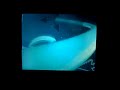 Disney Channel Asia Bumper Movie 2009 Disney Channel Asia Bumper Movie 2009