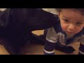 Baby with a 40kg black male Labrador (Lab)