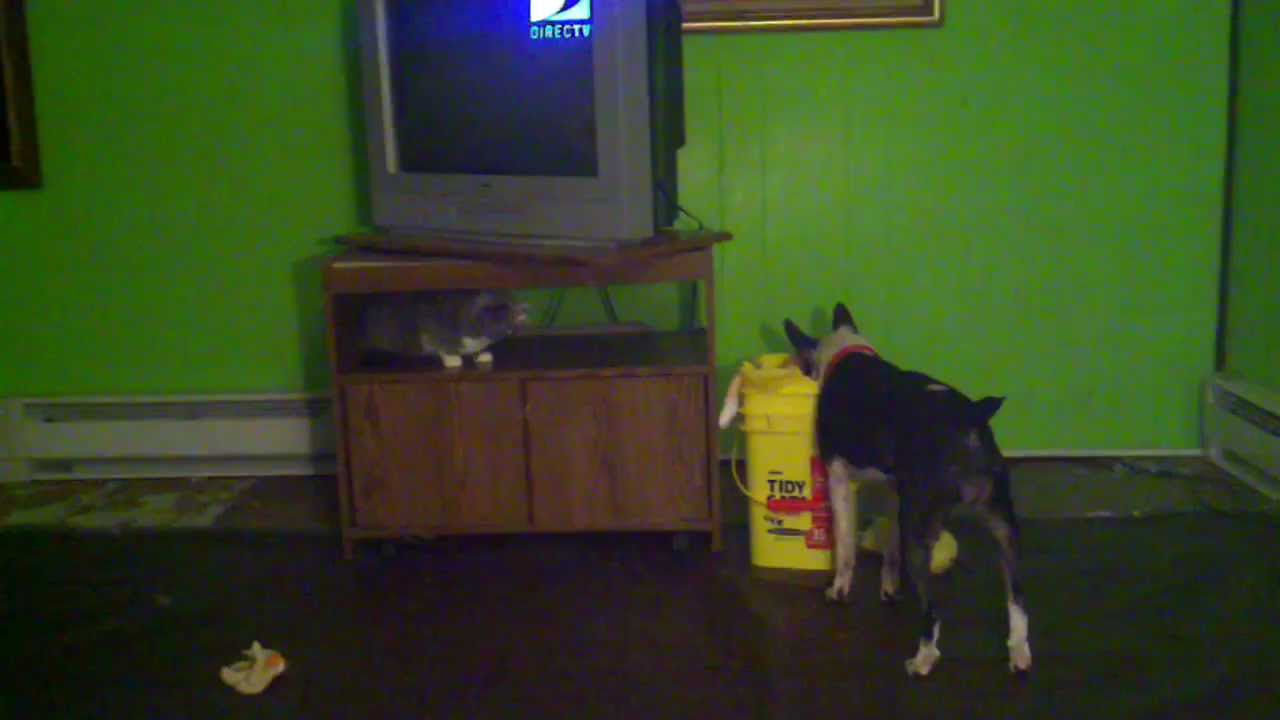 Orbs In Living Room Caught On Video Orbs In Living Room Caught On Video