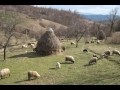 152====Tebe trazim majko=====