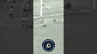 6c-DMTxajbk Video Image