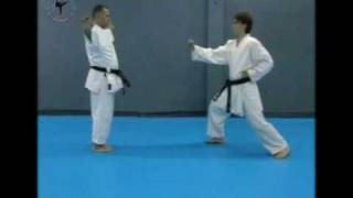 Yuval Abergil - Karate Self Defense - Bunkai Part 2.
