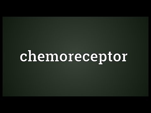Header of chemoreceptor