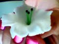 porcelanicron