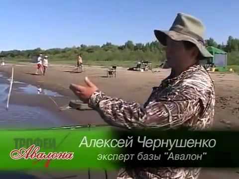 современная ловля карпа от carpio современная ловля карпа от carpio