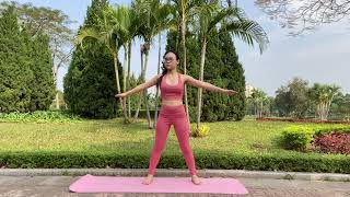 4K Mirror Yoga Stretching At Home Yoga Girl Ally Flexible