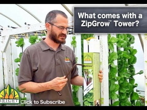 hydroponic farming a way to