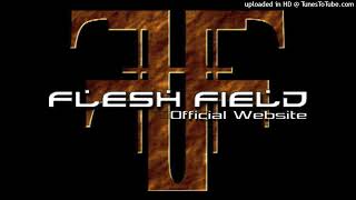 Watch Flesh Field Cyberchrist video