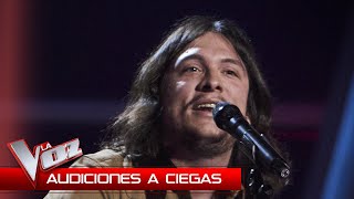 Folkybard Canta Honky Tonk Blues Audiciones A Ciegas La Voz 2025