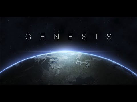 The Flood Video