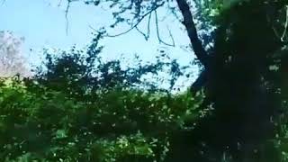 Telavar Yardımlı