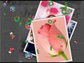 Imdadullah Phulpoto_new Full Hd Naat Matha Moi Je Miti Allah images Imdadullah Phulpoto_new Full Hd Naat Matha Moi Je Miti Allah