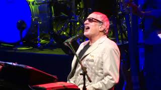 Watch Steely Dan Everything You Did video