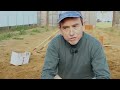 planting