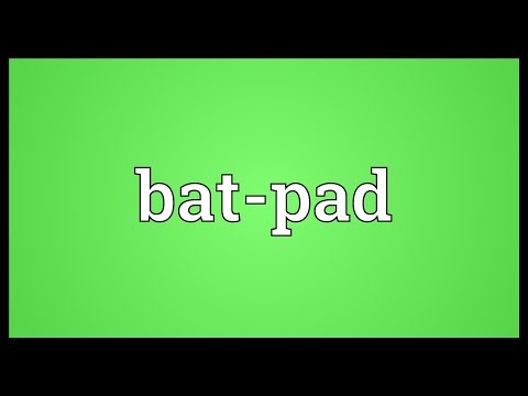 Header of bat-pad