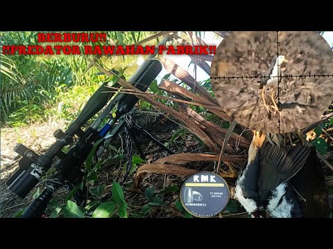 ‼️Still with the flagship unit‼️all slugs can enter💪, with such a clear throw🔥 ‼️Still with the flagship unit‼️all slugs can enter💪, with such a clear throw🔥