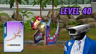 Awesome Limnorhynchus Level 40 Gameplay