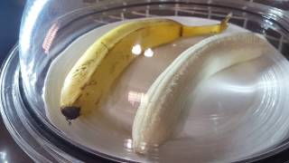 Banana in a vacuum chamber