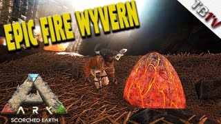 Epic Fire Wyvern Stealing Wyvern Eggs Ark Survival Evolved Scorched Earth S1E11 Gameplay