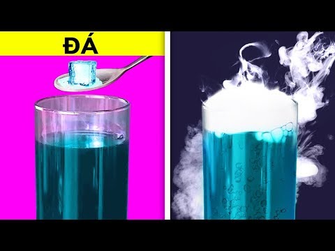 40 HƯỚNG DẪN NGHỆ THUẬT COCKTAIL SẼ LÀM BẠN NGẠC NHIÊN