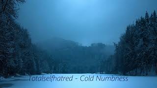 Watch Totalselfhatred Cold Numbness video