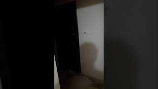 Işıklar Sönünce -2