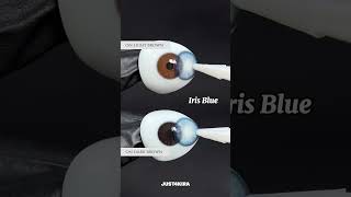 Trying Out Two Stunning Lenses On Light And Dark Eyesboth The Gray And Blue Left Me Speechless