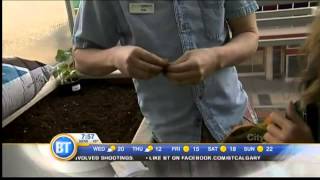 Small Space Gardening 2 - June 4Th