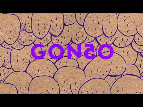 Have The Fun Video