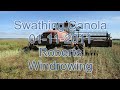 swathing