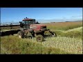 swathing