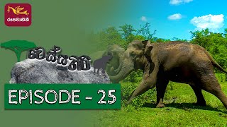 Vessagiri Episode - 25 | 2022-04-23 | Documentary | @Sri Lanka Rupavahini